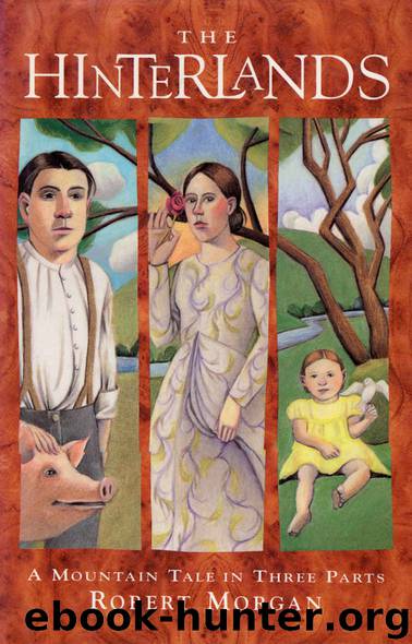 The Hinterlands: A Mountain Tale in Three Parts by Robert Morgan & Robert Morgan