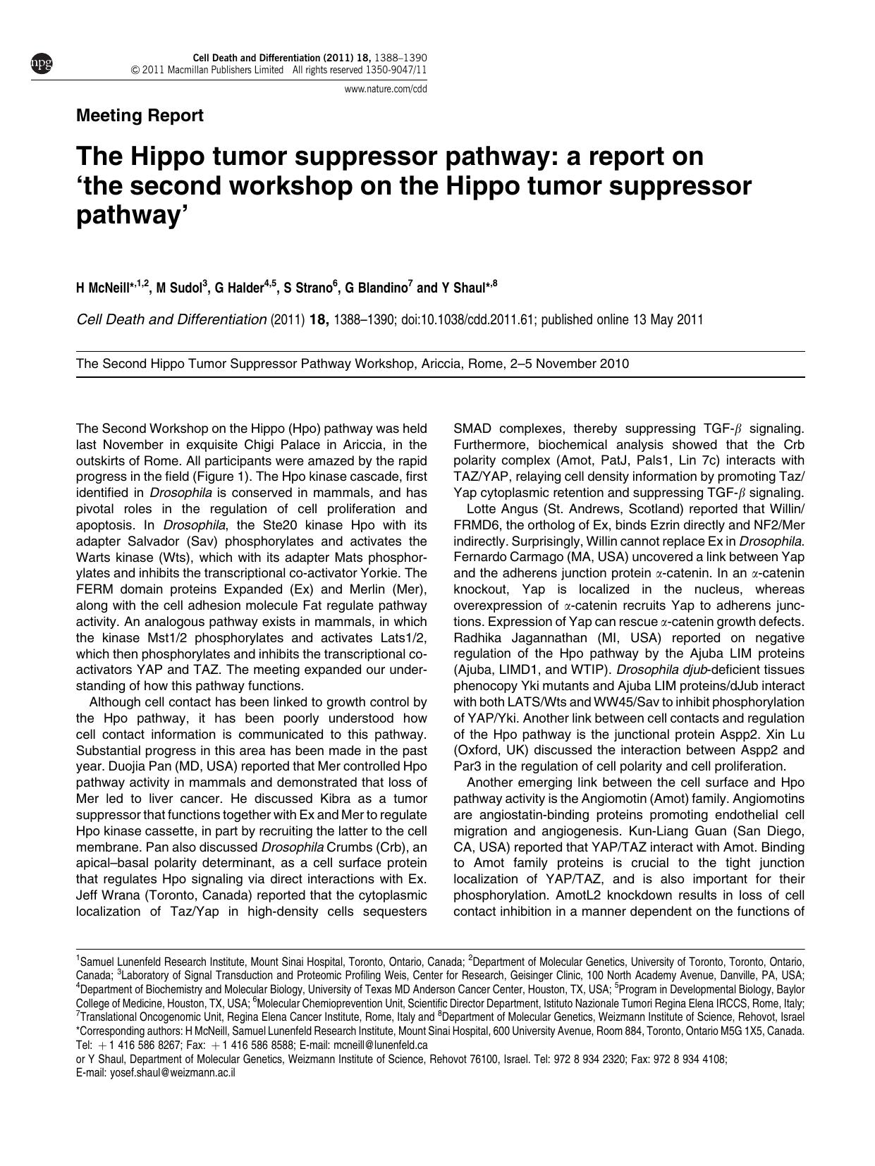 The Hippo tumor suppressor pathway: a report on &lsquo;the second workshop on the Hippo tumor suppressor pathway&rsquo; by H McNeill & M Sudol & G Halder & S Strano & G Blandino & Y Shaul