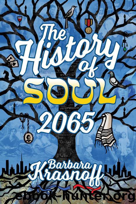The History of Soul 2065 by Barbara Krasnoff