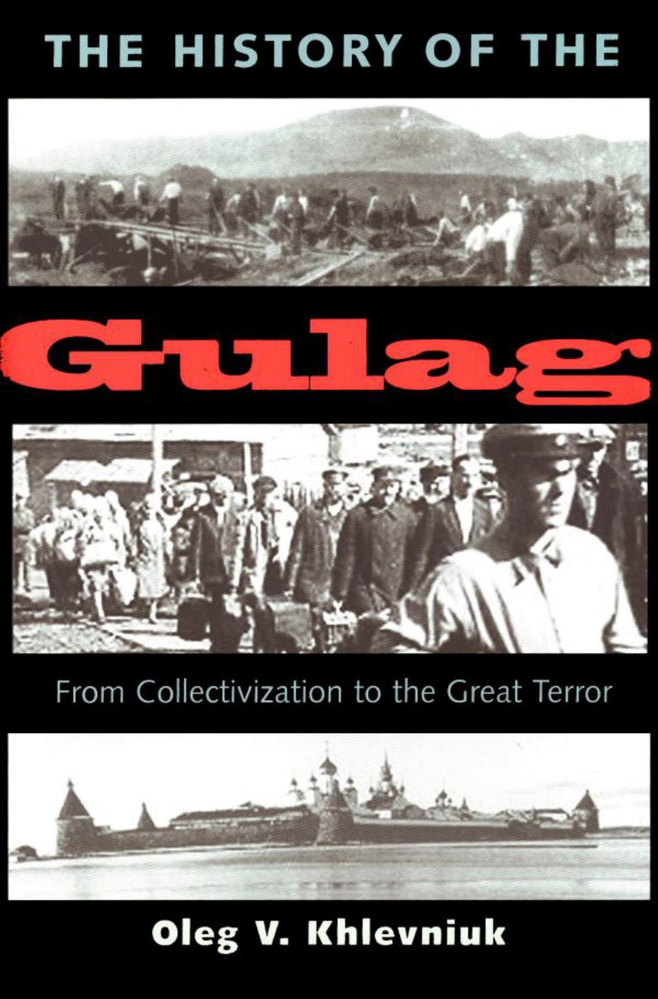 The History of the Gulag: From Collectivization to the Great Terror by Unknow