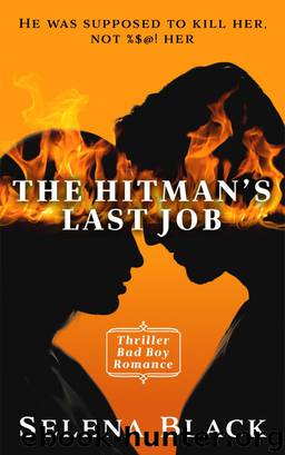 The Hitman's Last Job by Max Freedom