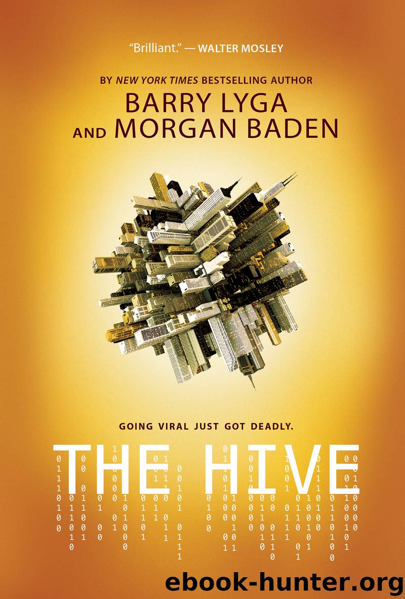 The Hive by unknow
