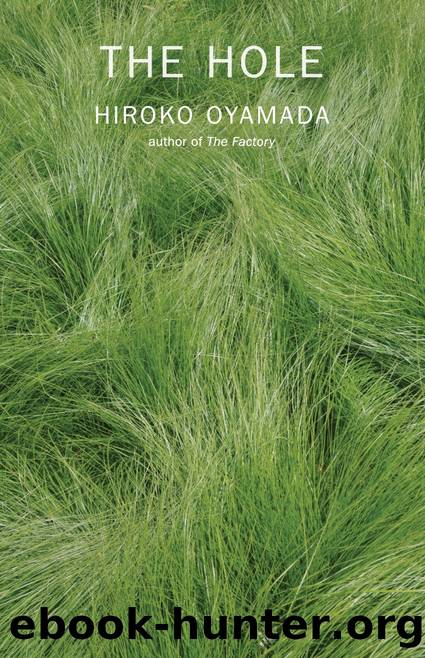 The Hole by Hiroko Oyamada