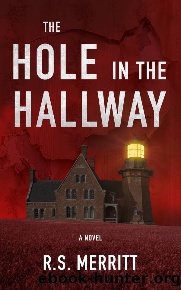 The Hole in the Hallway by R S Merritt