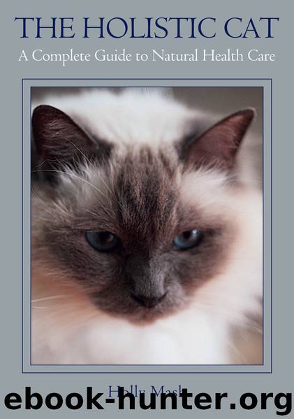 The Holistic Cat by Holly Mash