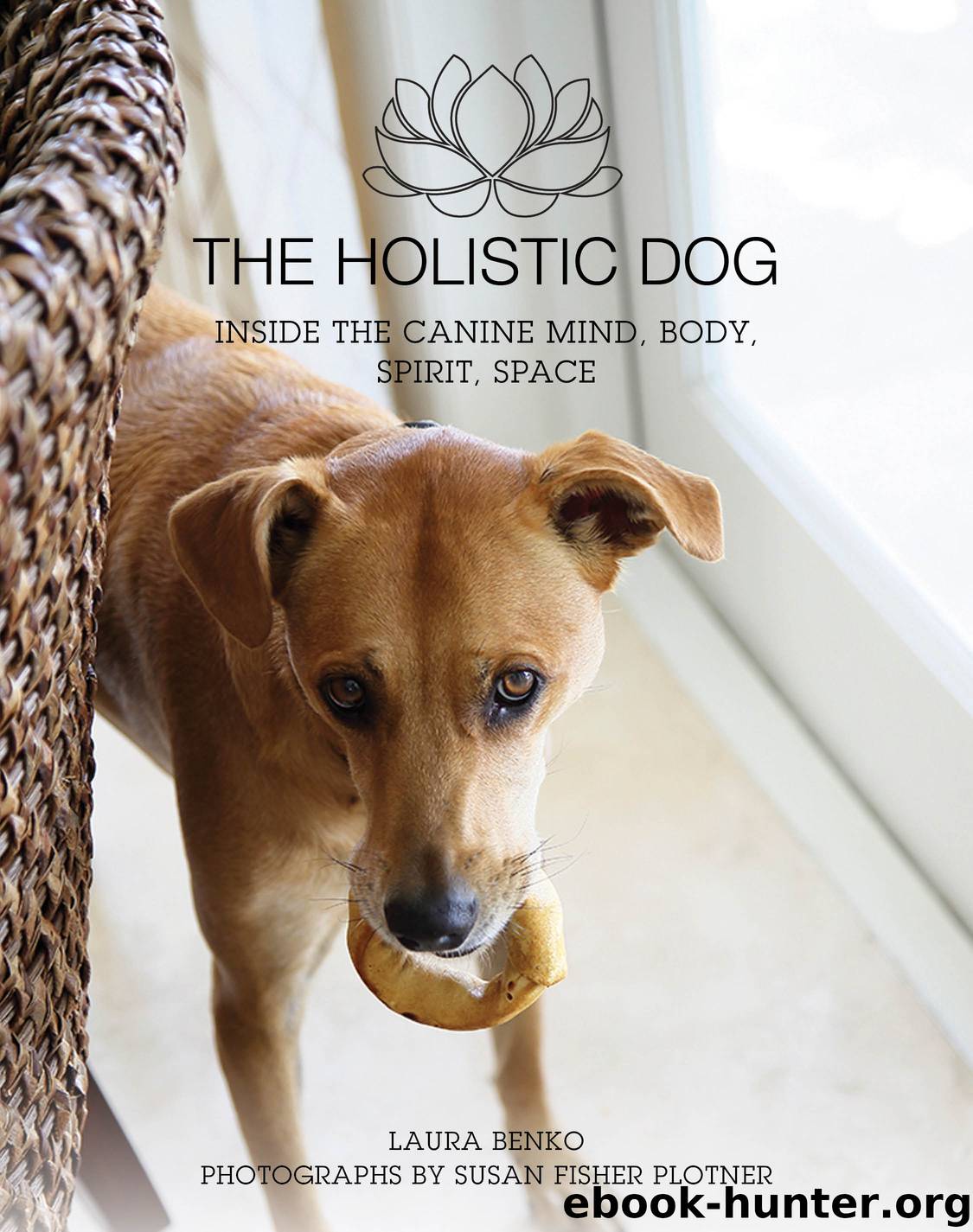 The Holistic Dog by Laura Benko