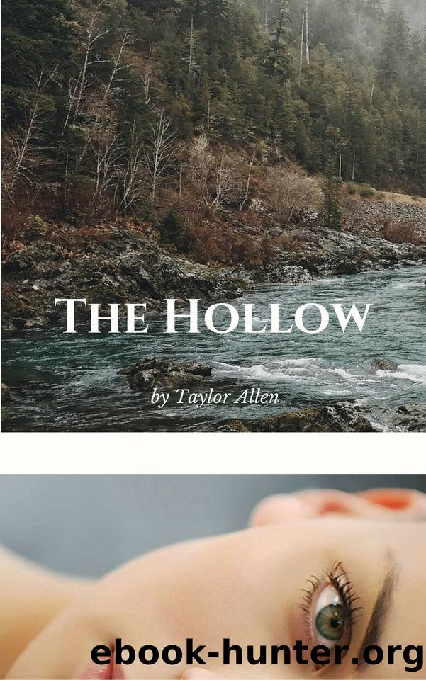 The Hollow (The Hollow Series) by Allen Taylor
