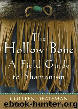 The Hollow Bone by Colleen Deatsman