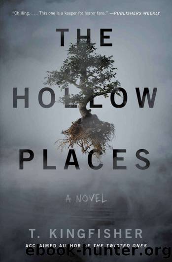 The Hollow Places by Kingfisher T