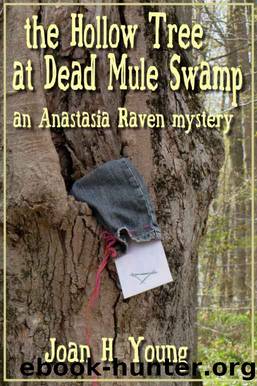 The Hollow Tree at Dead Mule Swamp (Anastasia Raven Mysteries Book 2) by Joan H. Young