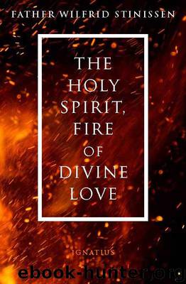 The Holy Spirit, Fire of Divine Love by Wilfrid Stinissen