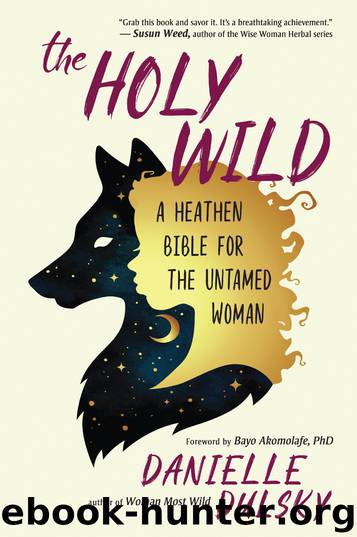 The Holy Wild by Danielle Dulsky