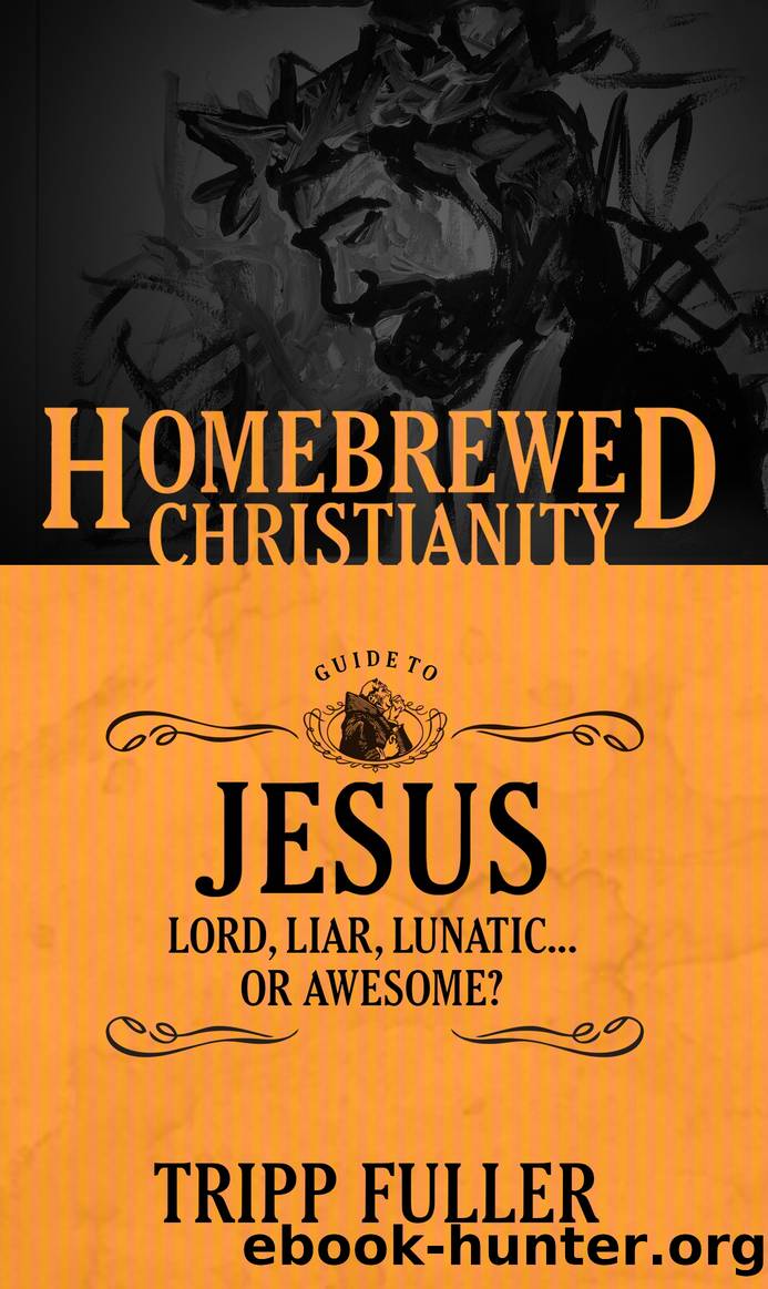 The Homebrewed Christianity Guide to Jesus by Tripp Fuller