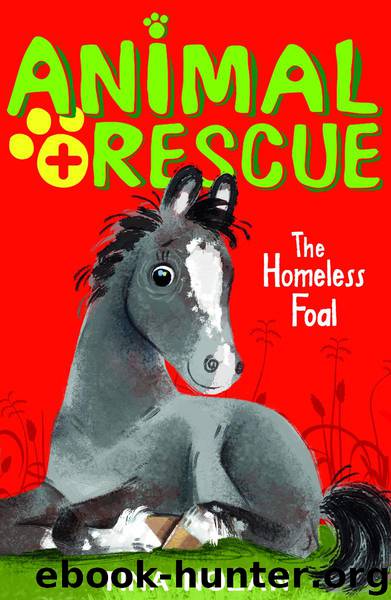 The Homeless Foal by Tina Nolan