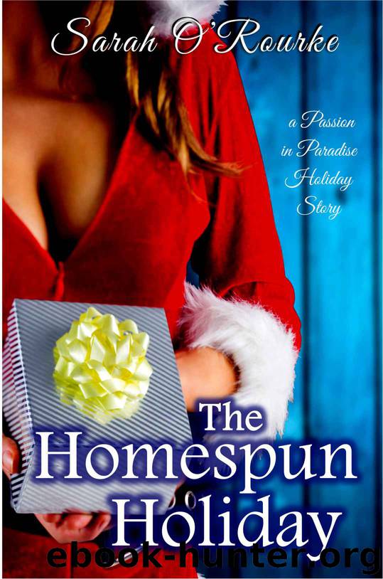 The Homespun Holiday by Sarah O'Rourke