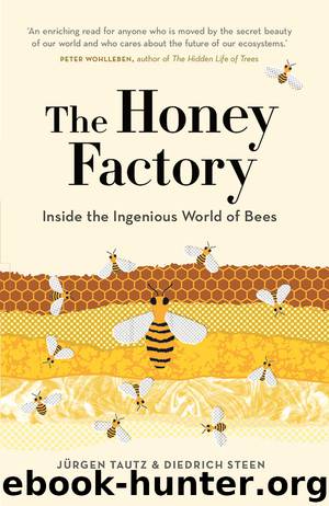 The Honey Factory by Jürgen Tautz