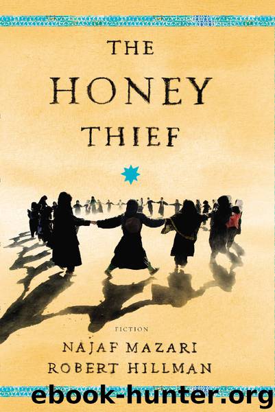The Honey Thief by Najaf Mazari & Robert Hillman
