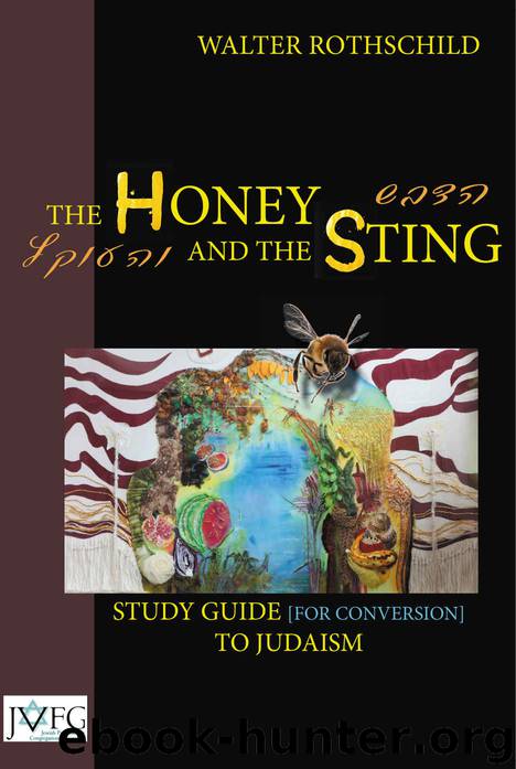 The Honey and the Sting: Study Guide for Conversion to Judaism by Walter Rothschild