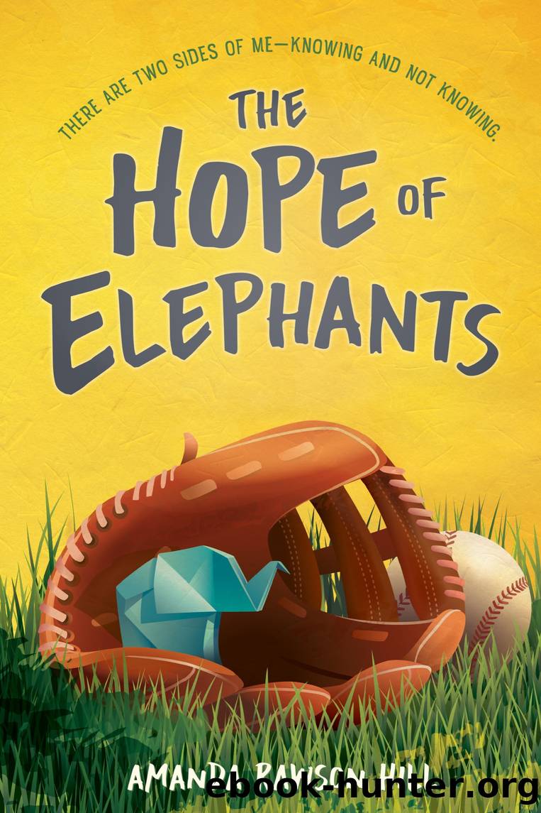 The Hope of Elephants by Amanda Rawson Hill
