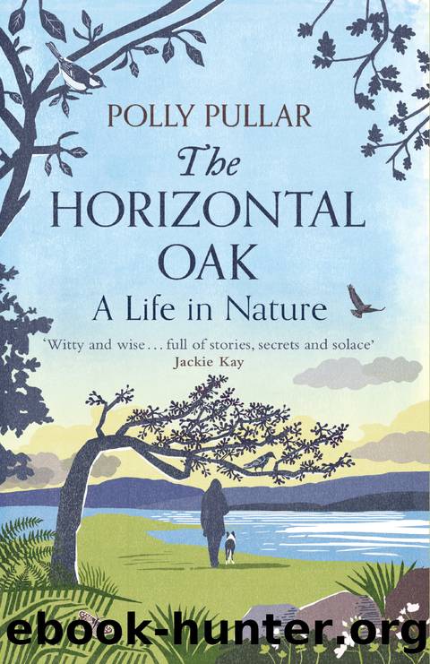 The Horizontal Oak: A Life in Nature by Polly Pullar