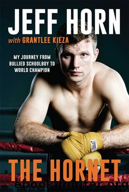 The Hornet by Jeff Horn