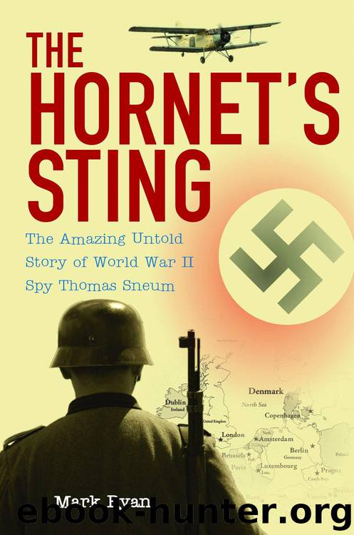The Hornet's Sting by Mark Ryan