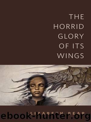 The Horrid Glory of Its Wings by Elizabeth Bear