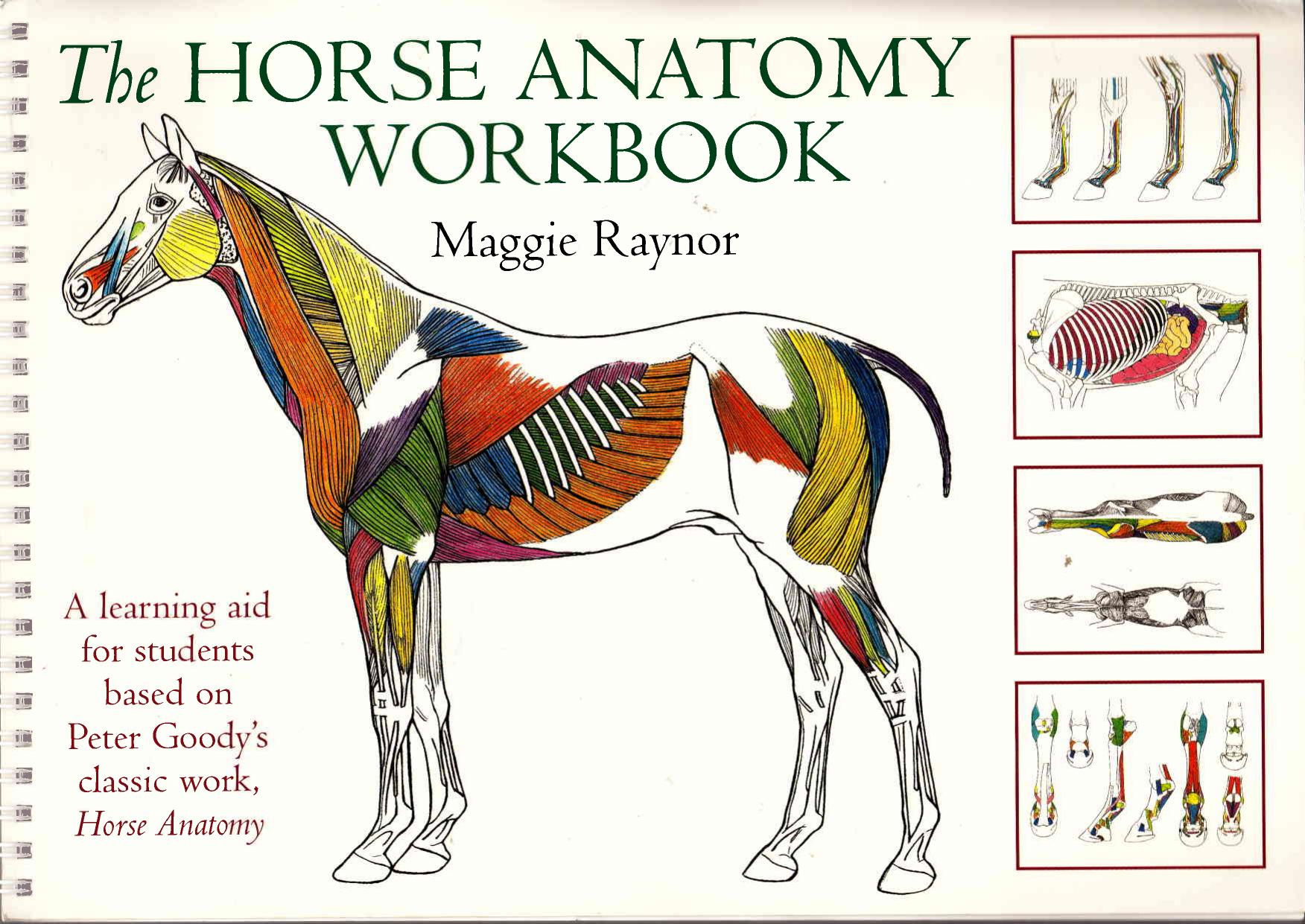 The Horse Anatomy Workbook: A Learning Aid for Students Based on Peter Goody's Classic Work, Horse Anatomy by Maggie Raynor