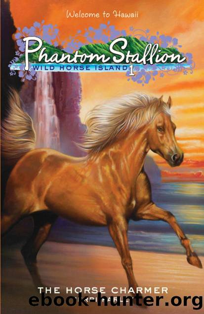 The Horse Charmer (Phantom Stallion: Wild Horse Island #1) by Terri Farley