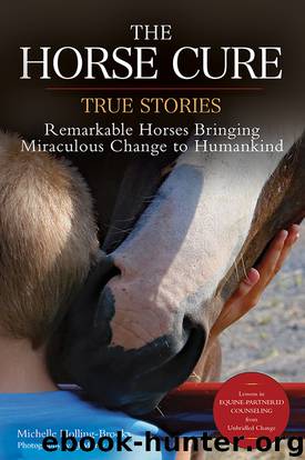 The Horse Cure by Michelle Holling-Brooks