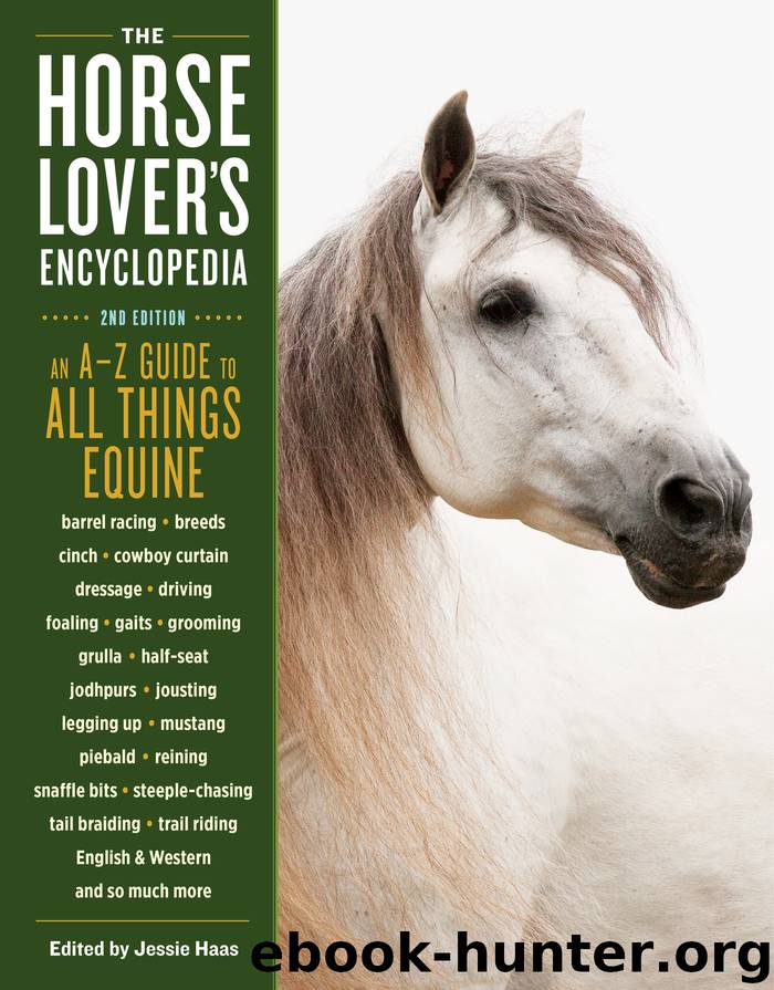 The Horse-Lover's Encyclopedia by Jessie Haas