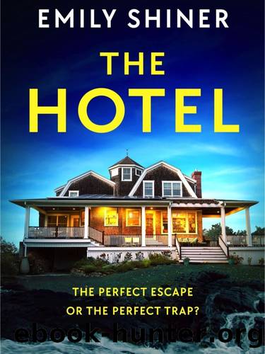 The Hotel by Emily Shiner