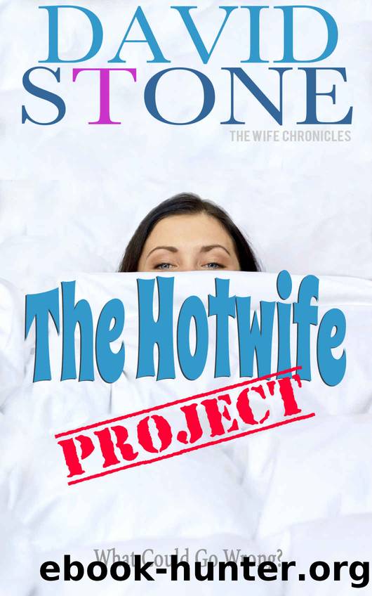 The Hotwife Project: What Could Go Wrong? by David Stone