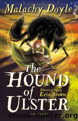 The Hound of Ulster by Malachy Doyle