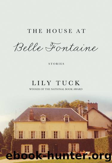 The House at Belle Fontaine by Lily Tuck