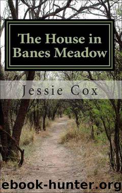 The House in Banes Meadow by Cox Jessie
