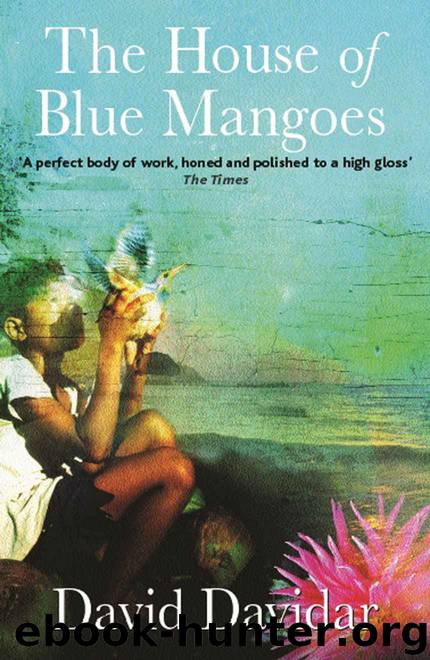The House of Blue Mangoes by David Davidar