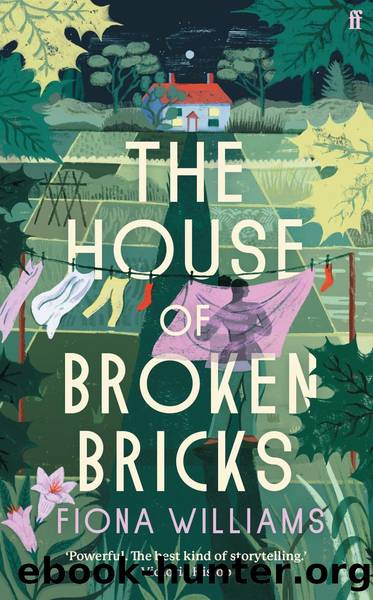 The House of Broken Bricks by Fiona Williams