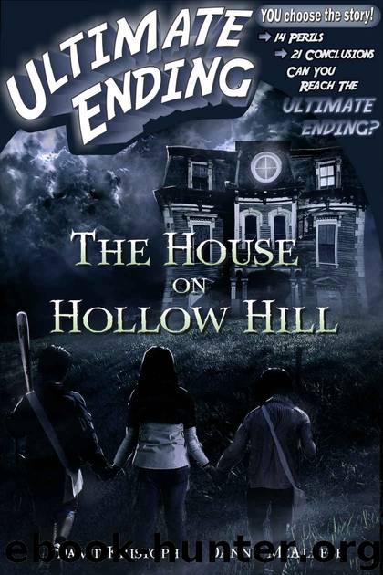 The House on Hollow Hill by David Kristoph & Danny McAleese