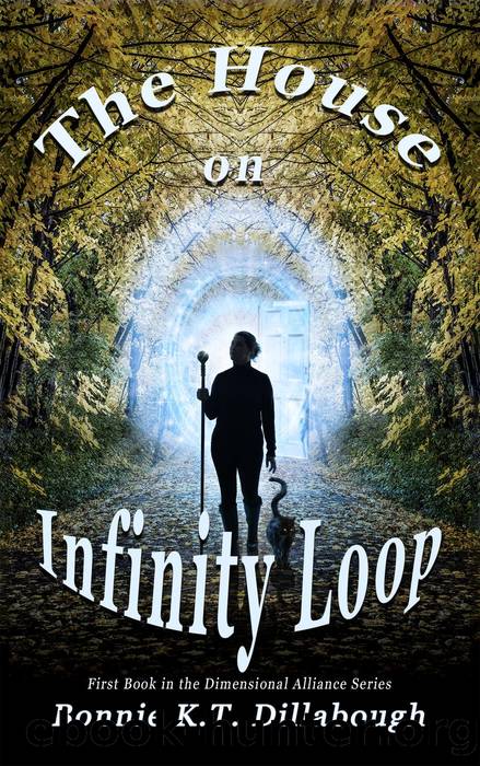 The House on Infinity Loop by Bonnie K.T. Dillabough