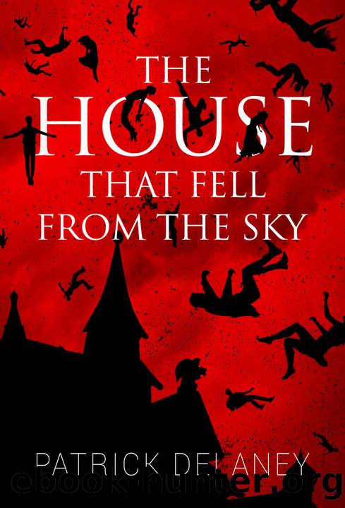 The House that fell from the Sky by Patrick Delaney