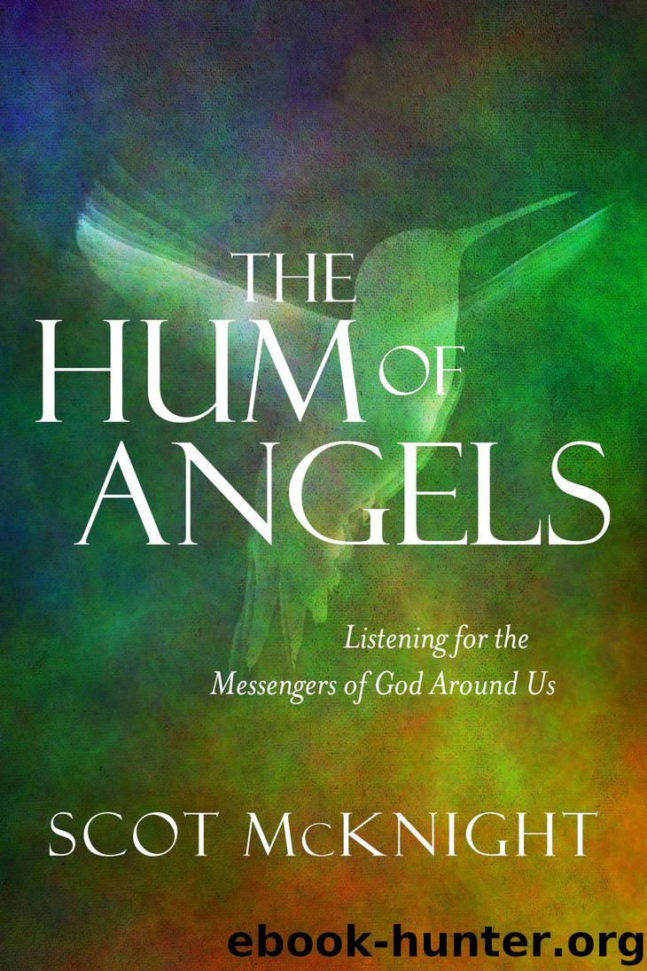 The Hum of Angels by Scot McKnight