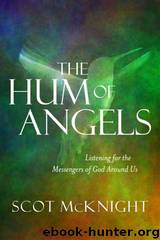 The Hum of Angels: Listening for the Messengers of God Around Us by Scot McKnight