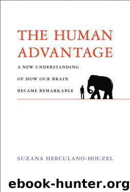 The Human Advantage: A New Understanding of How Our Brain Became Remarkable (MIT Press) by Suzana Herculano-Houzel
