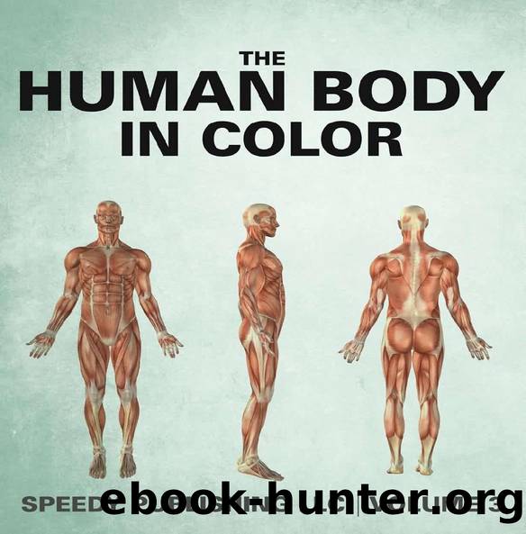 The Human Body In Color Volume 3 by Speedy Publishing