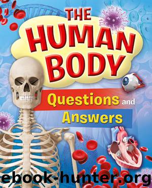 The Human Body Questions and Answers by Thomas Canavan