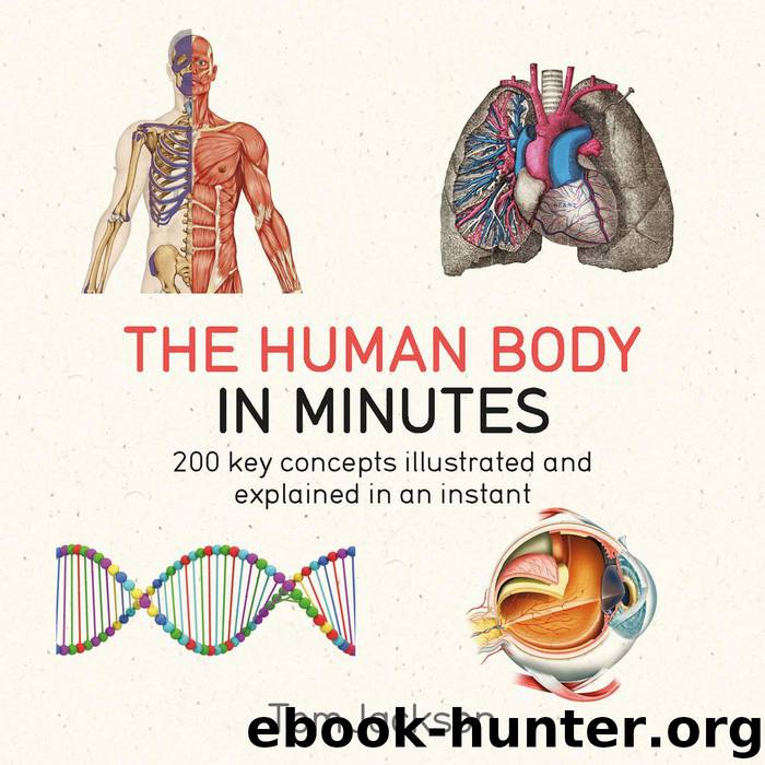 The Human Body in Minutes by Tom Jackson