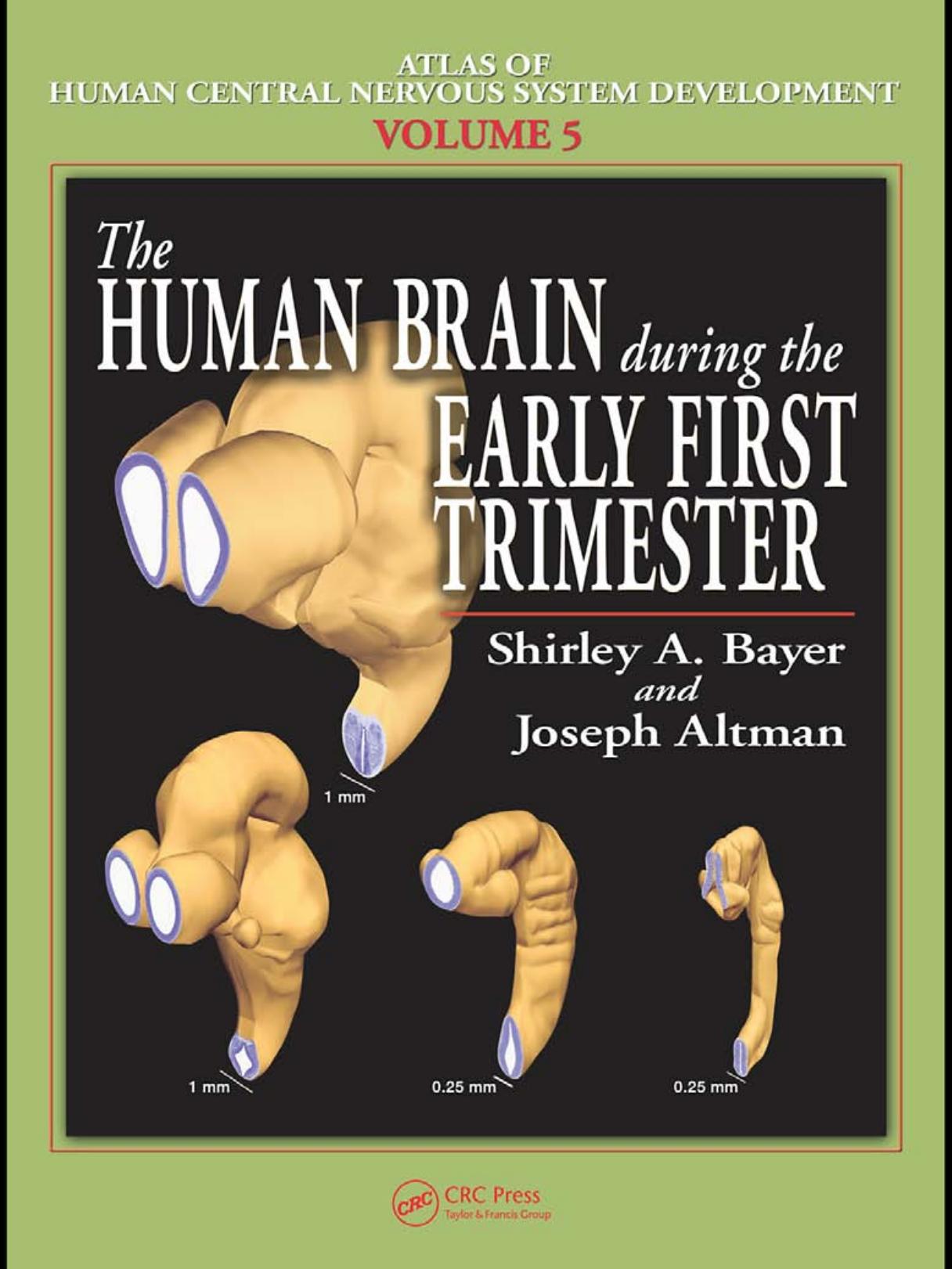 The Human Brain During the Early First Trimester (Atlas of Human Central Nervous System Development) by Shirley A. Bayer Joseph Altman