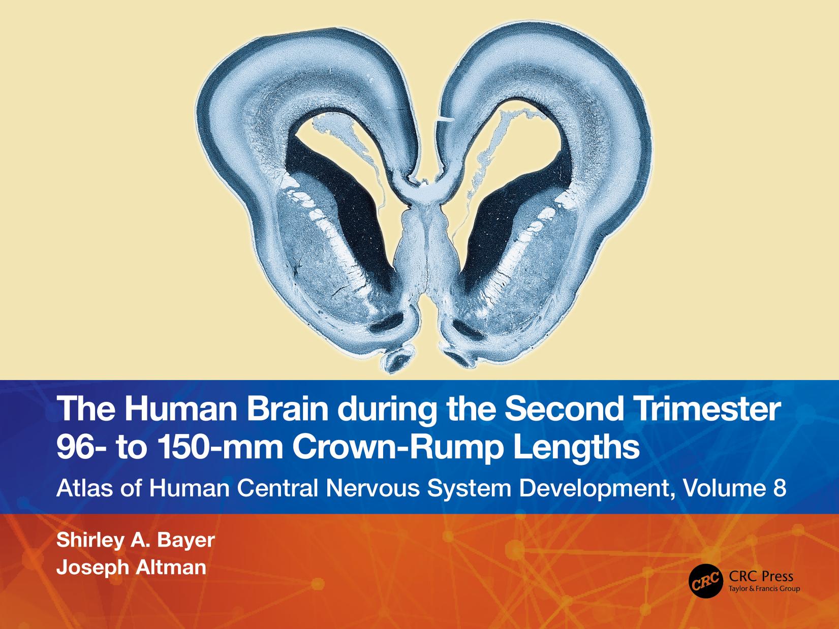 The Human Brain during the Second Trimester 96â to 150âmm Crown-Rump Lengths: Atlas of Human Central Nervous System Development, Volume 8 () by Shirley A. Bayer Joseph Altman
