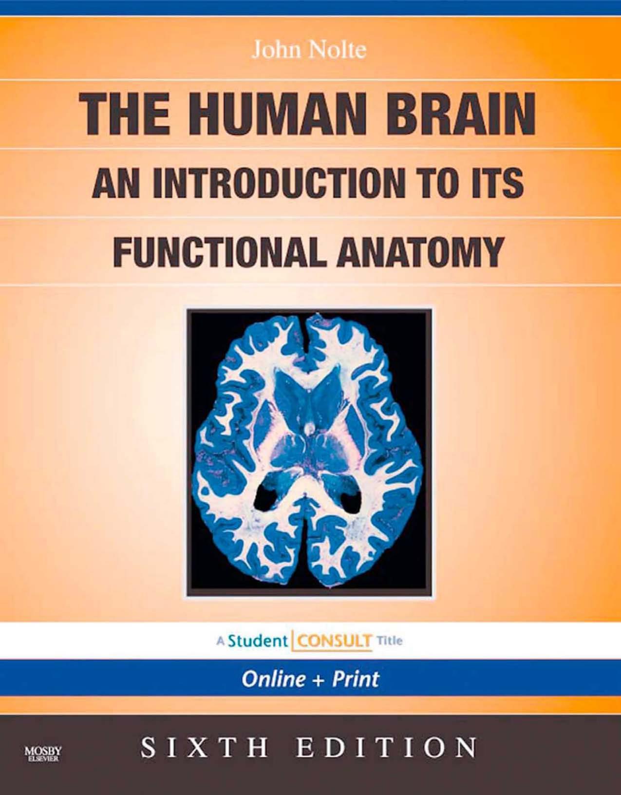 The Human Brain: An Introduction to its Functional Anatomy by John Nolte PhD
